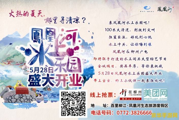 全民英雄凤凰 全民英雄凤凰：翱翔天际的传奇之旅