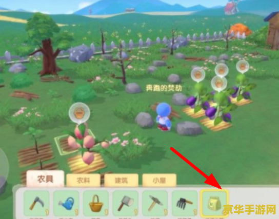 摩尔庄园摆向导桌 摩尔庄园：向导桌的魅力与策略