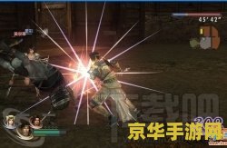 大蛇无双z补丁 大蛇无双Z补丁解析与游戏深度探讨