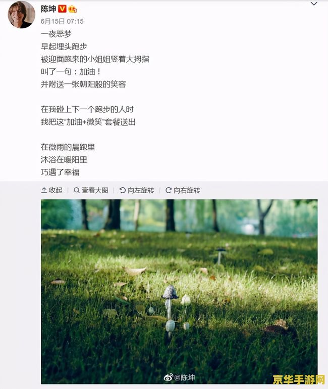 王者荣耀镜的欢迎会禁慢天堂 王者荣耀镜的盛宴：探寻虚拟世界中的英雄风采