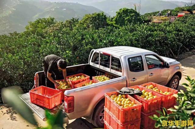 原神失落的壁画 原神中的失落壁画：探索背后的神秘故事