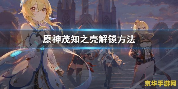 原神遗落之泪攻略 原神遗落之泪全攻略：探索泪之祭坛，解锁隐藏秘密