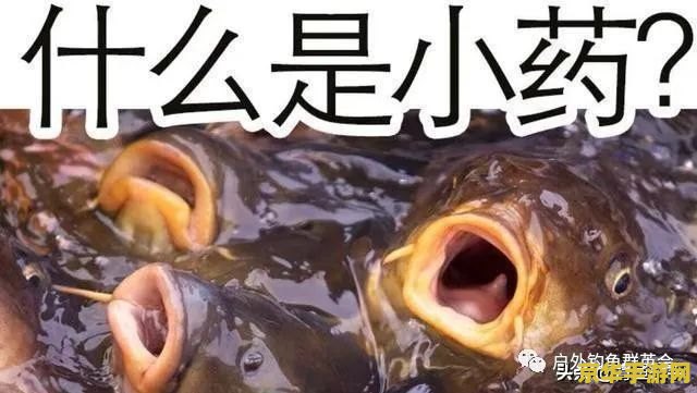 原神钓鱼多久上钩 原神钓鱼机制深度解析:多久上钩,技巧与策略 原神钓鱼多久上钩 原神钓鱼机制深度解析:多久上钩,技巧与策略