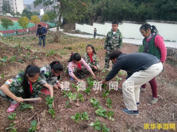 qq农场在哪 QQ农场:虚拟农场的乐趣与挑战 qq农场在哪 QQ农场:虚拟农场的乐趣与挑战