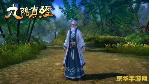 九阴真经青虾 九阴真经青虾：武侠世界的海鲜传奇