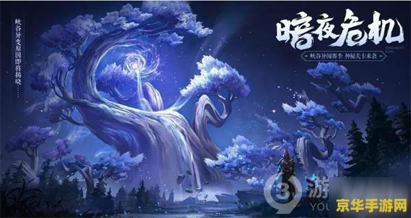 王者荣耀今天进不了怎么办 王者荣耀登录问题解析与解决方案