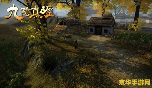 九阴真经青虾 九阴真经青虾：武侠世界的海鲜传奇