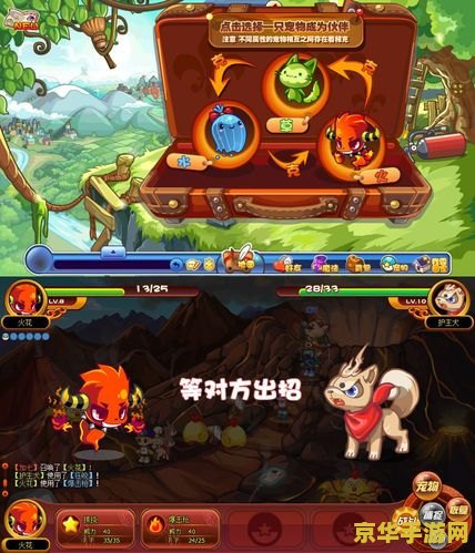 洛克王国布鲁斯练级 洛克王国布鲁斯练级攻略