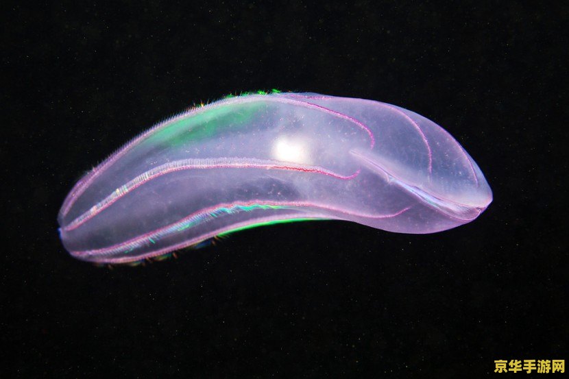 原神什么时候公测的啊 原神公测时间揭秘：探索开放世界的奇幻之旅