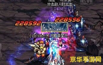 dnf元素二觉 DNF元素二觉：揭秘新技能的威力与影响