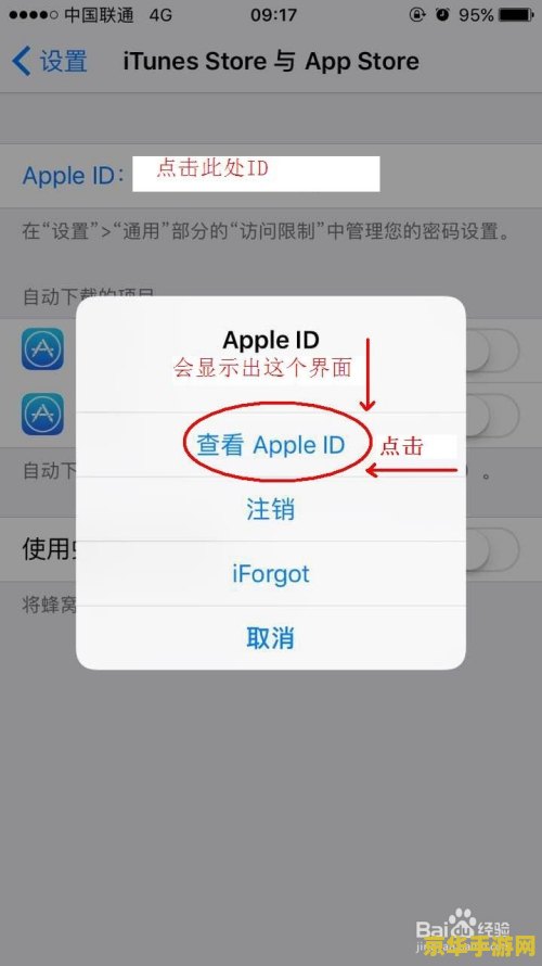 王者荣耀苹果怎么充值点券 王者荣耀苹果端充值点券全攻略