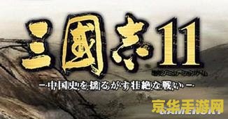 三国志13 3dm 三国志13：逐鹿中原- 深度解析游戏内容与特色