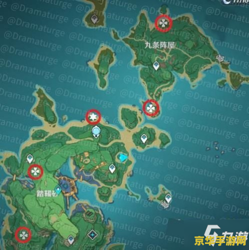 原神雷樱树50级 原神雷樱树50级攻略与深度解析