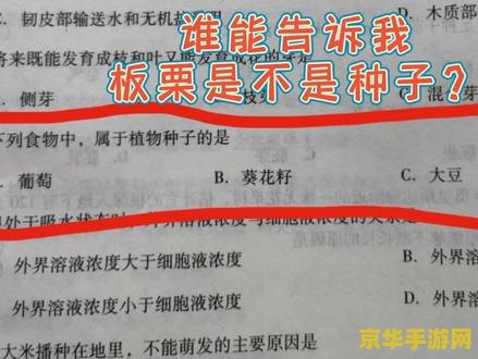 寻秦问道 寻秦问道：时空穿越的奇幻之旅