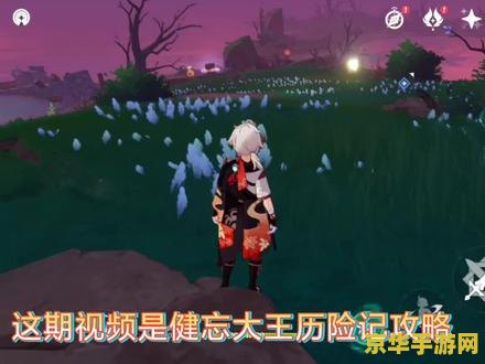 原神健忘大王历险记点燃顺序 原神健忘大王历险记：揭秘点燃顺序之谜