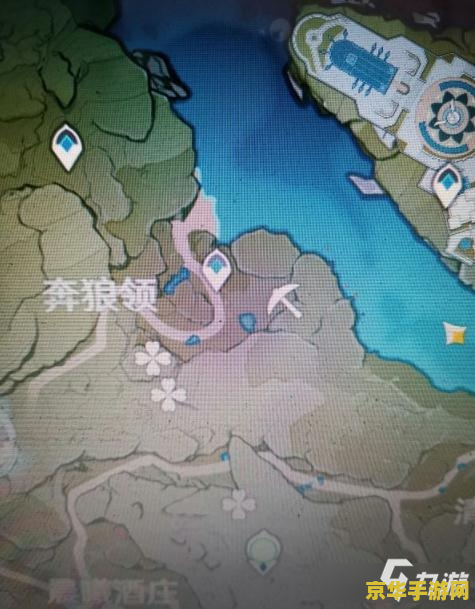 原神哪里有松果采集 原神松果采集地点大揭秘