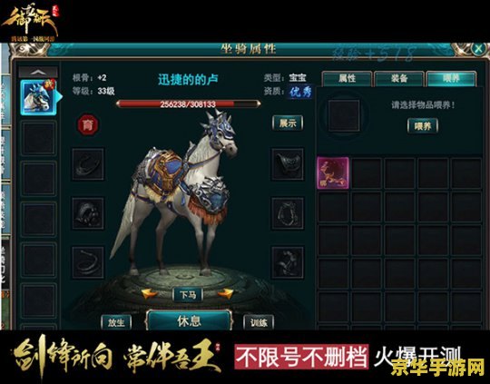 御龙在天弓箭手骑什么马 御龙在天弓箭手骑乘战马解析