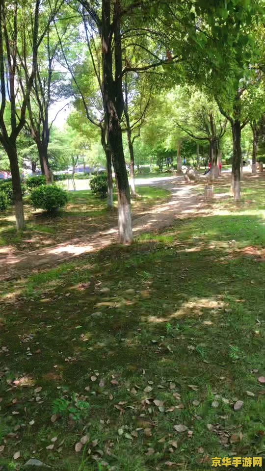 原神打雷神为什么没有剧情杀 原神雷神挑战：剧情与战斗的深度解析