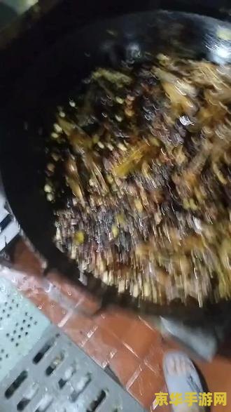 龙之谷二转 龙之谷二转：探索未知，挑战极限