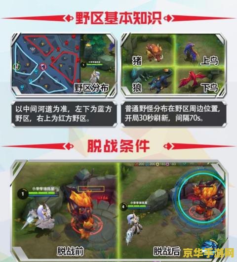王者荣耀怎么正确打野 王者荣耀打野攻略：掌握节奏，成为野区霸主