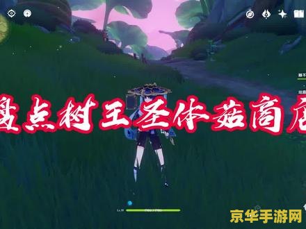 原神树王圣体菇路线图 原神树王圣体菇路线图探索