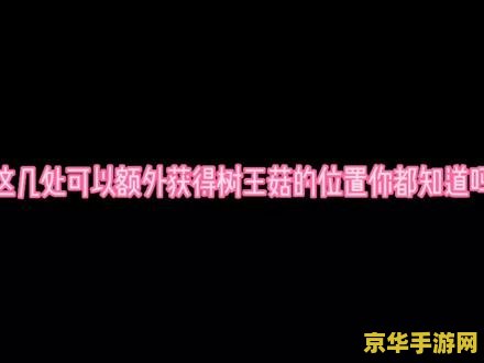 原神树王圣体菇路线图 原神树王圣体菇路线图探索