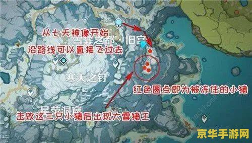 原神获得大雪猪王的肉 原神中的大雪猪王：探索与收获