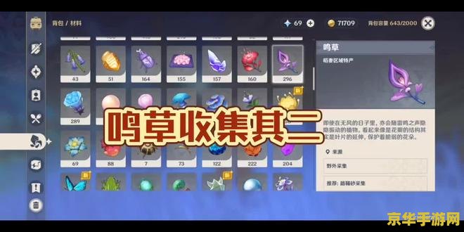 原神鸣草丛中的捕手其二16个雷灵 原神鸣草丛中的捕手：探寻雷灵之谜