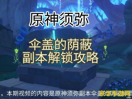 原神须妳伞盖的荫蔽怎么开 原神须妳伞盖的荫蔽开启攻略