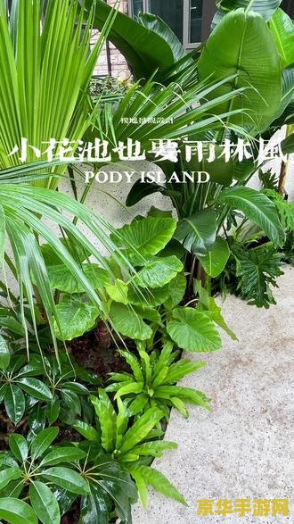 跑跑卡丁车比赛 速度与激情:跑跑卡丁车大赛 跑跑卡丁车比赛 速度与激情:跑跑卡丁车大赛