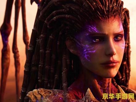 星际争霸2国服官网 星际争霸2：国服官网深度解析与游戏魅力探索