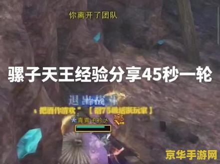 斗战神罗刹风系加点 斗战神罗刹风系加点攻略
