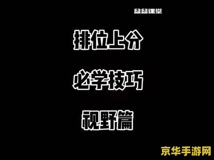 英雄联盟视野得分英雄 英雄联盟视野得分英雄：洞察战场，掌控全局