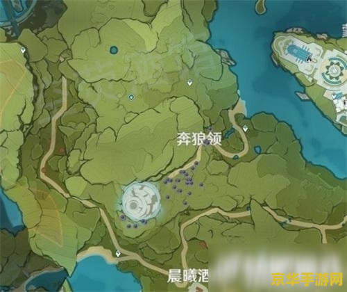 原神勾勾果在哪里 原神勾勾果的位置与用途探索