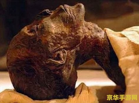 木乃伊正确使用方法 木乃伊的正确使用方法：探索古埃及的奥秘