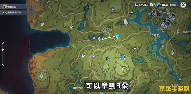 原神中的劫波莲在那 原神中的劫波莲：探索与收集的奇妙之旅