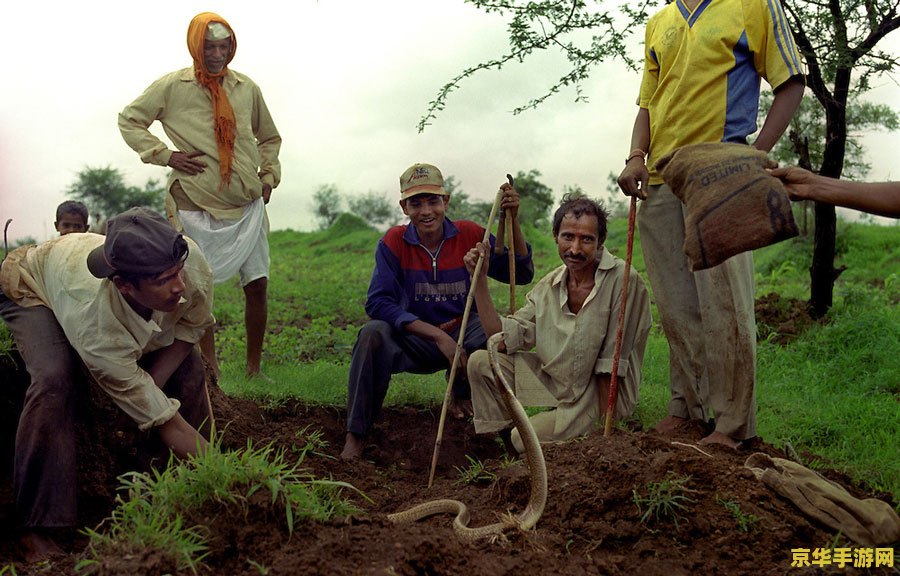 原神风龙废墟风墙怎么进去 原神风龙废墟风墙探索攻略