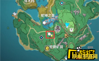 原神鲸井小弟怎么玩 原神鲸井小弟玩法详解