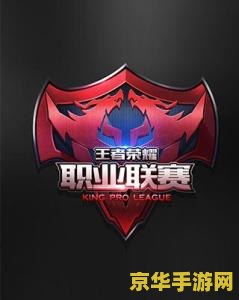 王者荣耀职业怎么报名 王者荣耀职业联赛报名指南