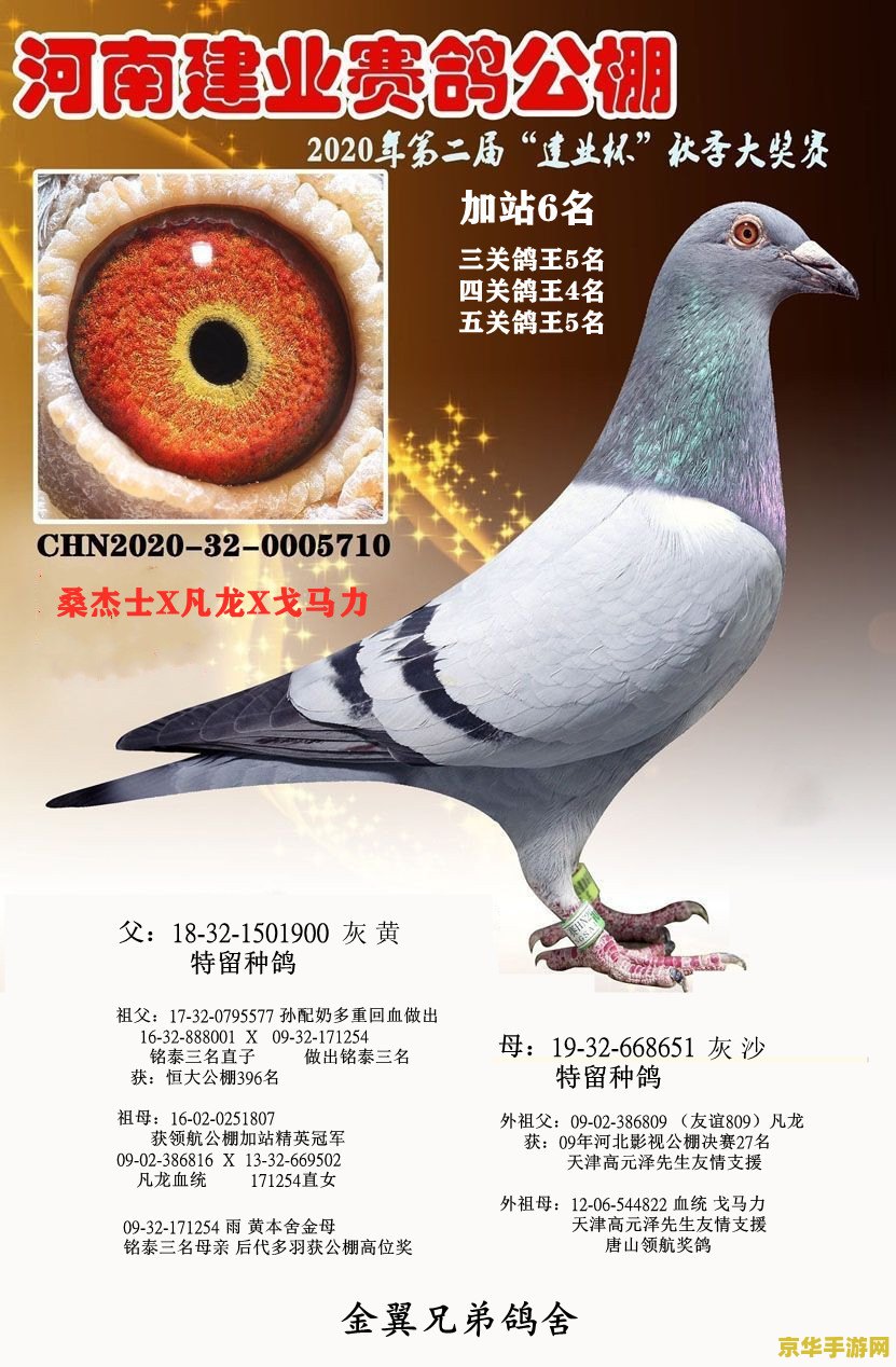 好听的结拜名字 江湖侠影：结拜兄弟共闯天涯