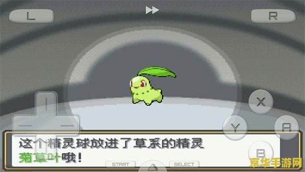 口袋妖怪金心 口袋妖怪金心：探索与收集的奇幻之旅