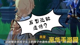 原神吟游诗人的戒指 原神中的吟游诗人戒指：探索其神秘魅力与游戏内影响