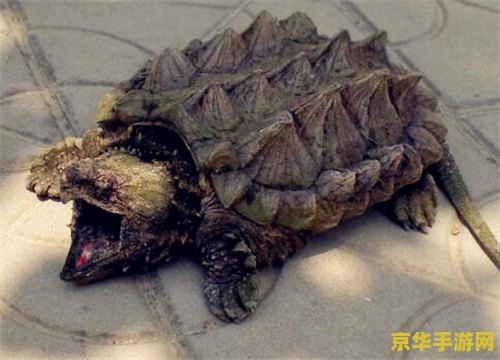 原神表情包jojo化 原神表情包Jojo化：二次元与动漫文化的碰撞与融合