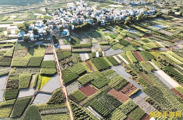 王者荣耀MMD怎么做 王者荣耀MMD制作全攻略