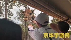 古剑奇谭:琴心剑魄今何在 古剑奇谭：琴心剑魄今何在——探寻古剑世界的琴韵剑意