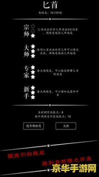 火炬之光 游侠 火炬之光：游侠传奇