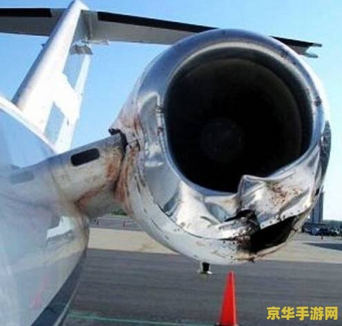 森林冰火人双人小游戏 森林冰火人双人冒险之旅