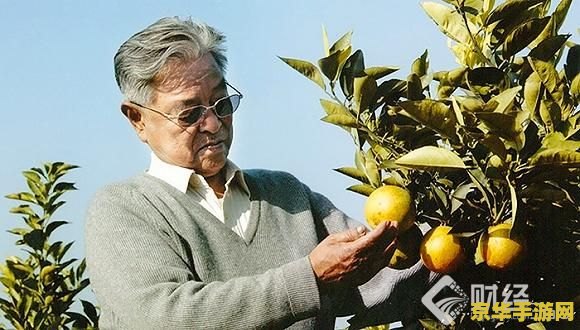 昔日的传奇 昔日的传奇：经典游戏背后的故事与影响