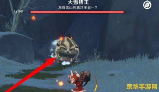 原神大雪猪王没火把 原神大雪猪王挑战：无火把策略解析