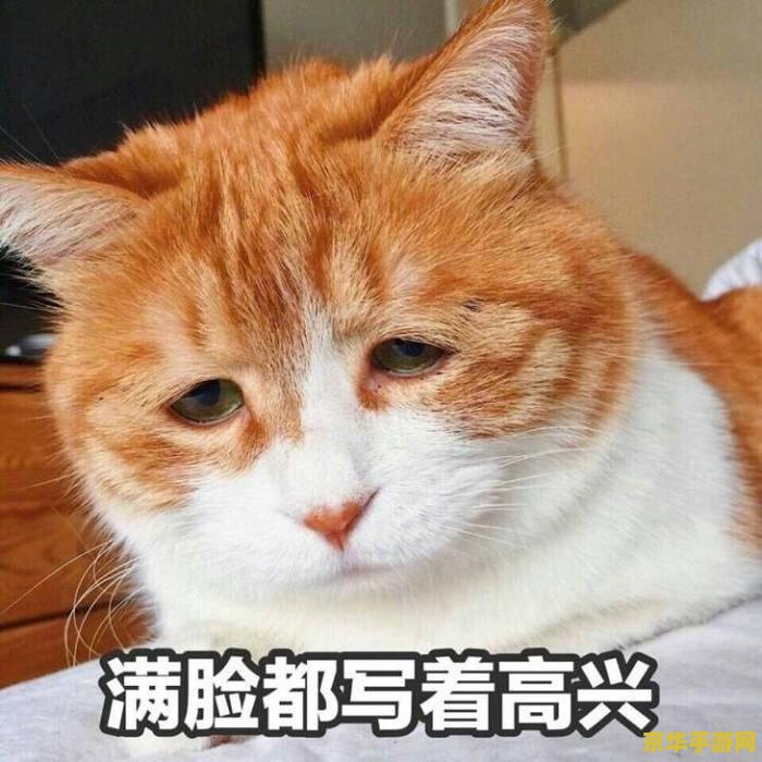 手机游戏推荐 手机游戏推荐：热门佳作一网打尽